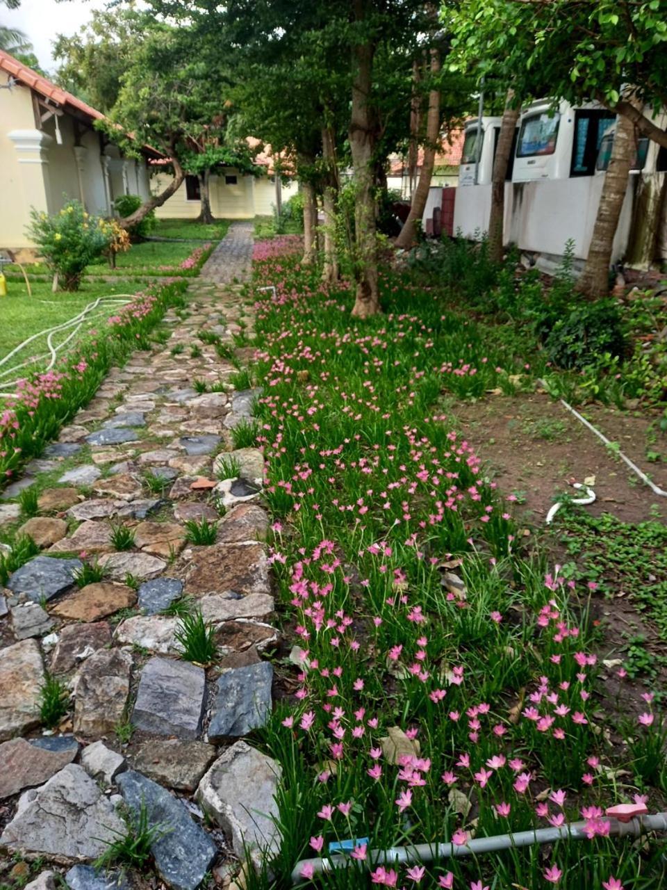 Sai Gon Con Dao Resort Exterior photo